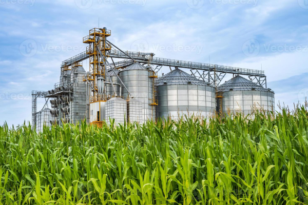 Agro Industry — coding and labeling machines by Ramatech